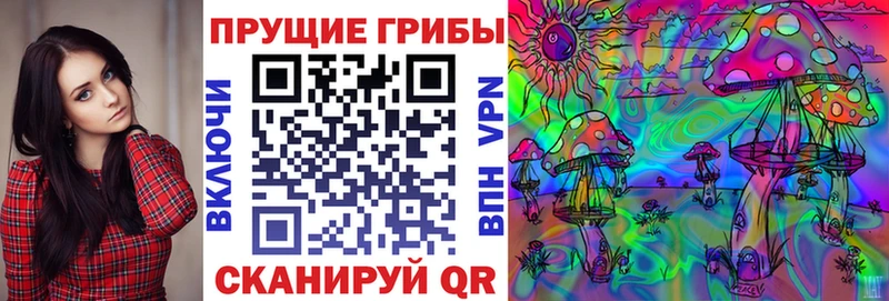 кракен зеркало  Красково  shop какой сайт  Галлюциногенные грибы Psilocybe 
